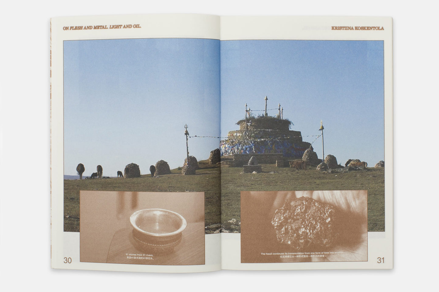 ENFLESHED: ECOLOGIES OF ENTITIES AND BEINGS