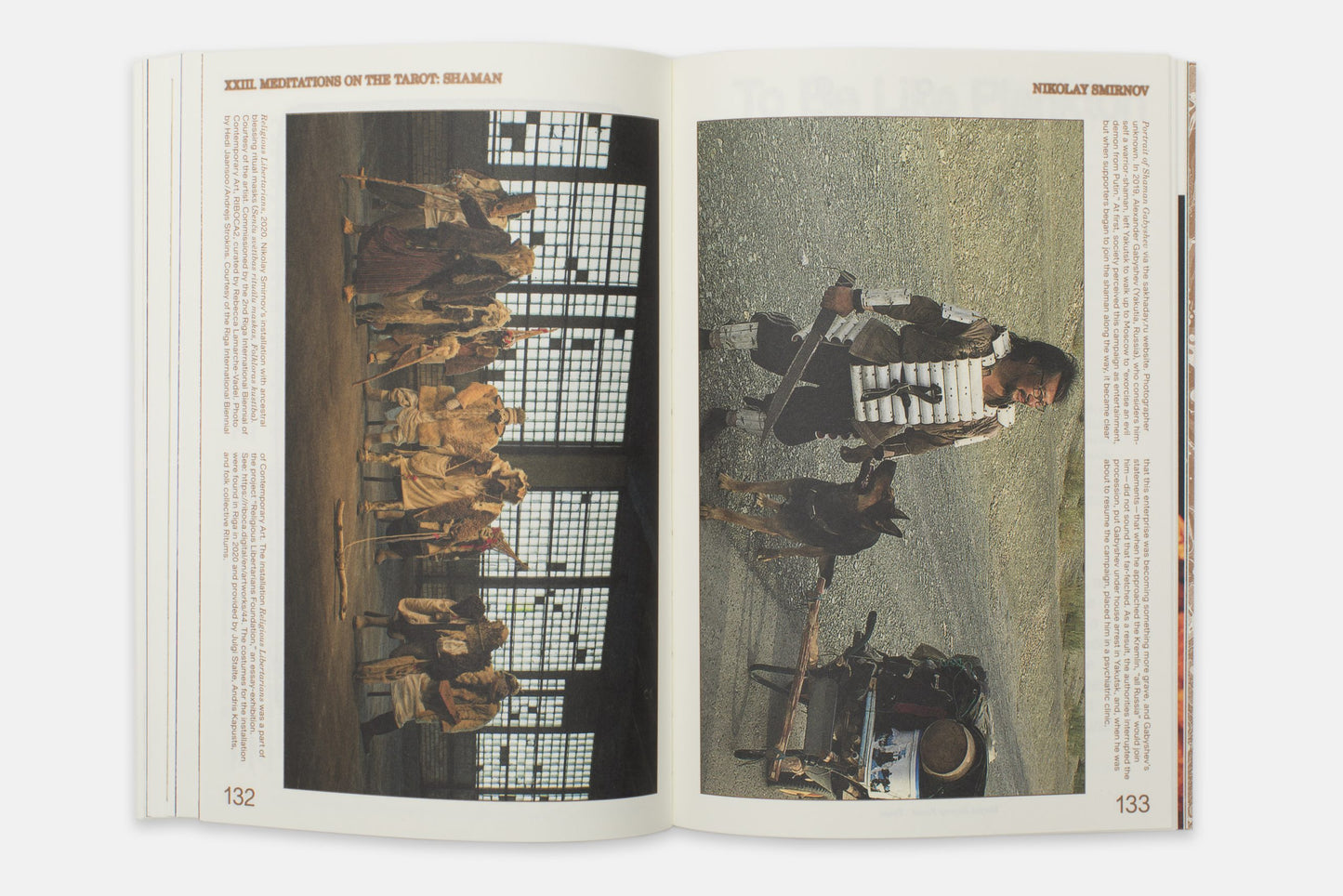 ENFLESHED: ECOLOGIES OF ENTITIES AND BEINGS