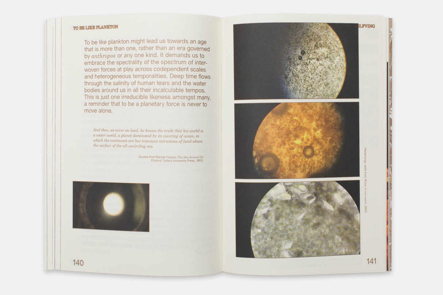 ENFLESHED: ECOLOGIES OF ENTITIES AND BEINGS