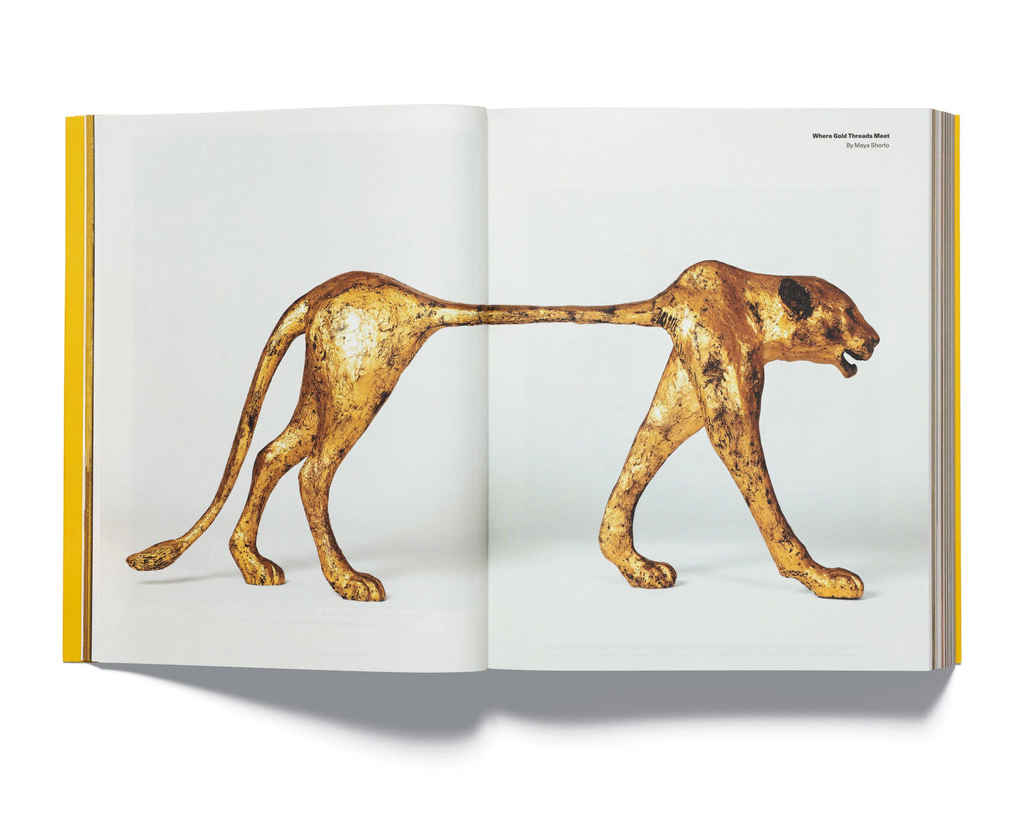 ACNE PAPER | GOLDEN ISSUE 20